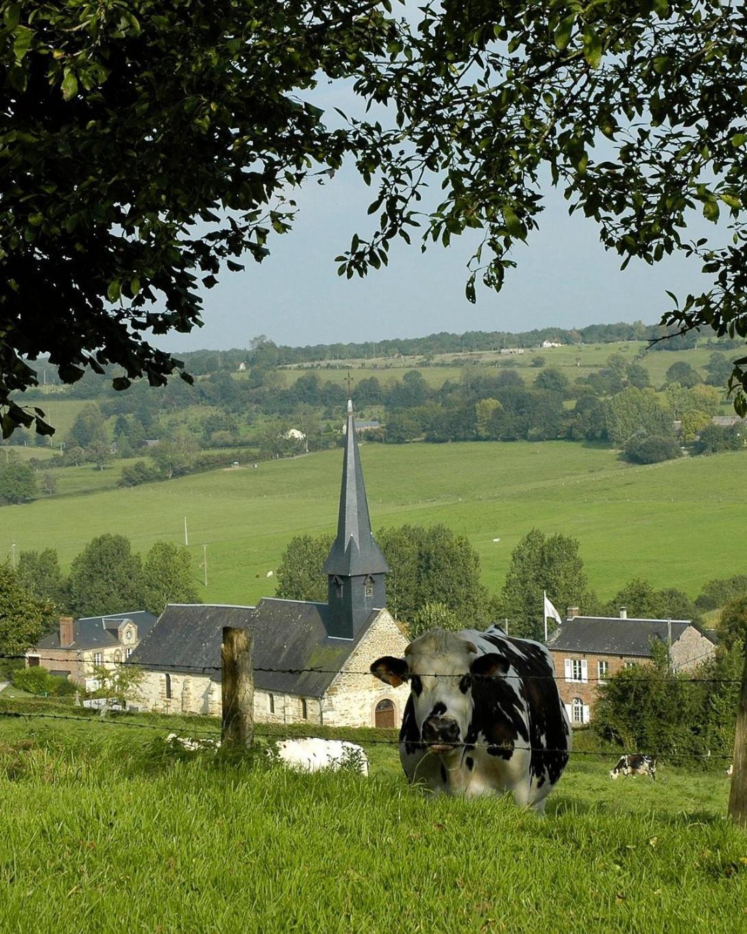 Hébergements Insolites Dans Tonneaux - Le Coup De Foudre * Vimoutiers
