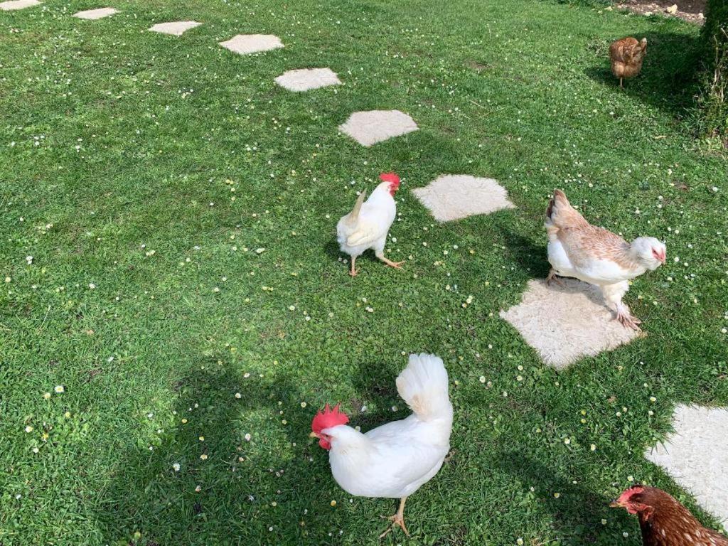 Hébergements Insolites Dans Tonneaux - Le Coup De Foudre *